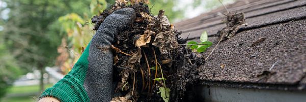 Cleaning gutters during the summer time.